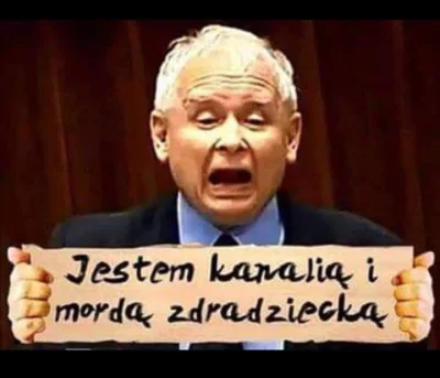 Andrzejuniedenerwuj - @ediz4: Jedynym chamem jest tu Kaczyński