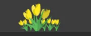 typbezkasy95 - Co to jakiś dzień tulipana?
#przegryw #kiciochpyta