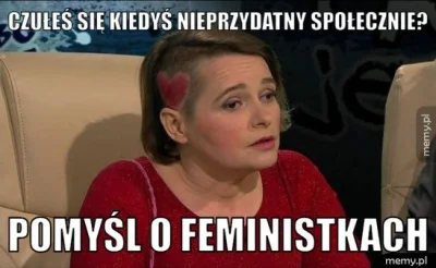 januszzczarnolasu - @Gentleman_Adrian: Kobiet w tym siłą rzeczy feministek na wykopie...