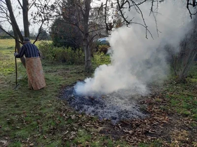 mars10 - Na zdjęciu tak zwany "Dziad" palący liście na działkach w #rzeszow 
2019 ko...