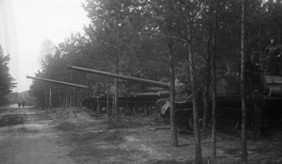 myrmekochoria - Czołgi SU-100 ukryte w lesie nieopodal Berlina, 1945. 

#starszezwo...