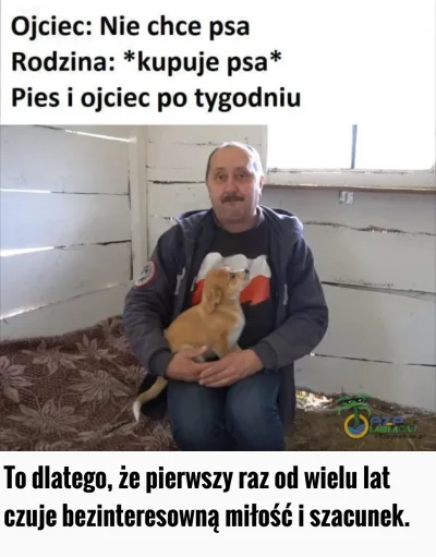 pogop - #feels #takaprawda #psy #pies #rodzina #polska