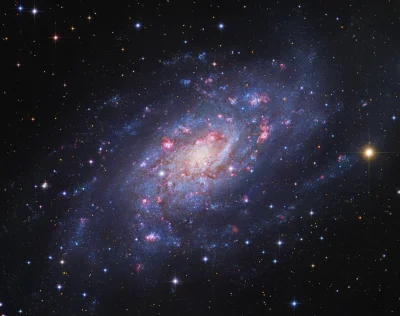 ntdc - NGC 2403 to piękna galaktyka spiralna wręcz naszpikowana obszarami formowania ...