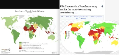 loiob - W tym temacie warto też pokazać porównanie skali okaleczania kobiet (o czym w...