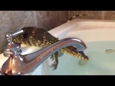 R187 - Waran bierze kąpiel w wannie (｡◕‿‿◕｡)

#zwierzaczki #waran #jaszczurki #gady...