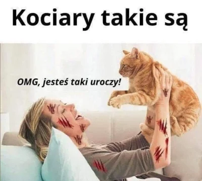 mkogrys - Kotełki (｡◕‿‿◕｡) #humorobrazkowy #heheszki #koty