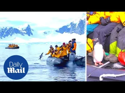 g.....6 - Pingwin wskakuje na łódkę i w ten sposób ucieka przed orkami. Z jednej stro...