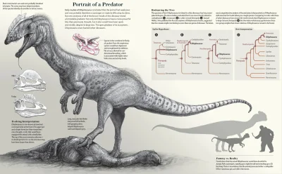 Lifelike - #graphsandmaps #nauka #biologia #paleobiologia #dinozaury #ciekawostki #in...