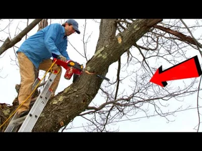 starnak - Tree Felling Fails & Idiots With Chainsaw ! Dangerous Cutting Down Skills