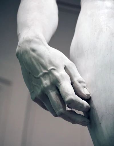 Artktur - Detale na dłoni Dawida wyrzeźbione przez Michała Anioła

#ciekawostki #sz...