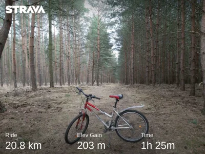 Gulgava - 51 903 + 20 = 51 923

Wypad do lasu na starym złomie.

#rowerowyrownik

Wpi...