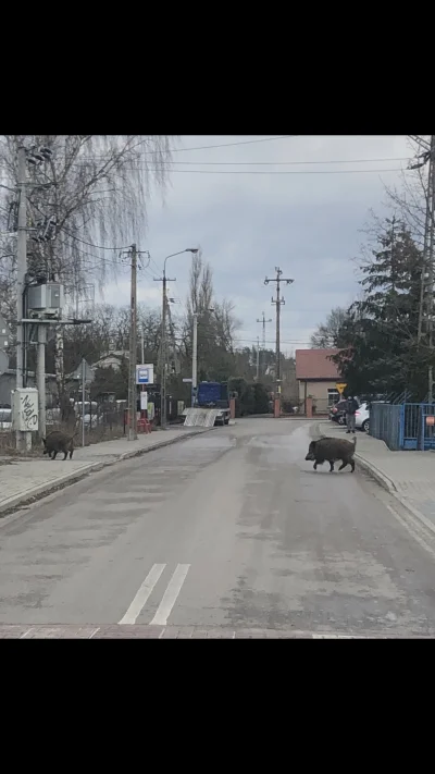 FilipWWL - W drodze po bułki przedwczoraj