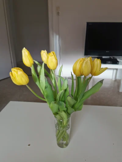 Lagu - Dzień kobiet już dawno za nami, a tulipany różowej jeszcze jako tako wyglądają...