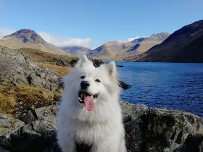 3t3r - South Fells wokol Wast Water prawie 30 km i 2000m total ascent, pogoda piekna ...