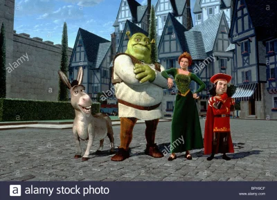 Chodtok - Jak myślicie Fiona wybrała Shreka bo miał dobre serduszko i byli do sb podo...