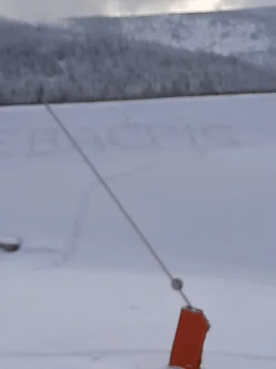 LubieKawe - Narciarze pozdrawiają partię rządzącą #narty #szczyrk