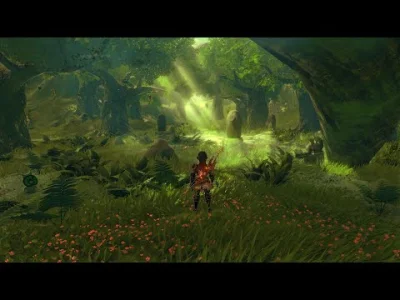 gtx 1070 botw cemu 1.7.5