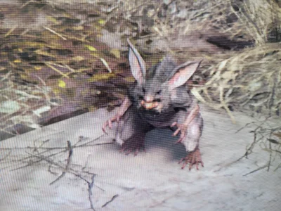 elektrykniskichnapiec - Szczur z Final Fantasy VII Remake
#szczuryposting