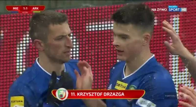 WHlTE - Miedź Legnica [1]:1 Arka Gdynia - Krzysztof Drzazga
#miedzlegnica #arkagdyni...