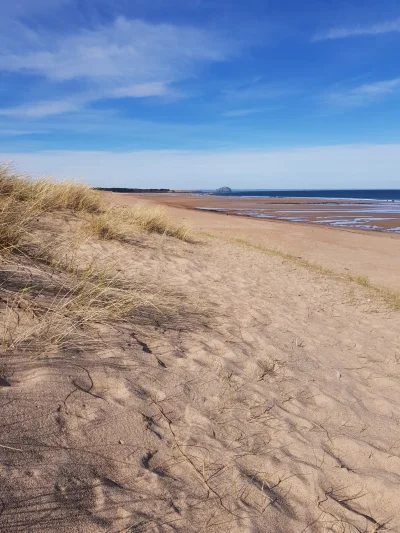 gwiezdna - 15 minut spacerem od domu mam taka plażę. Gdyby nie ten wiatr to dzisiaj b...