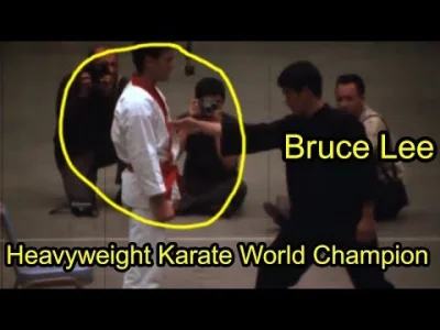 av18 - Bruce Lee one inch punch