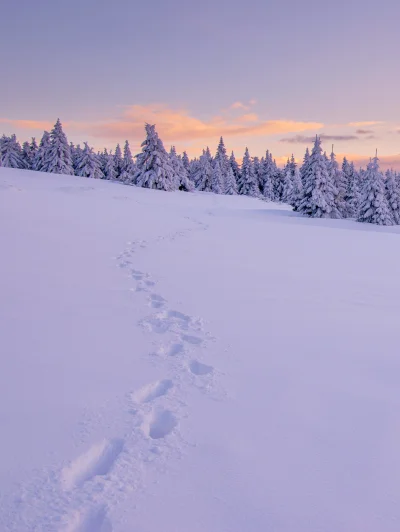 zbigniew-wu - Czy to Laponia? Syberia? Północna Kanada?

Nie, to Perła Południa i S...