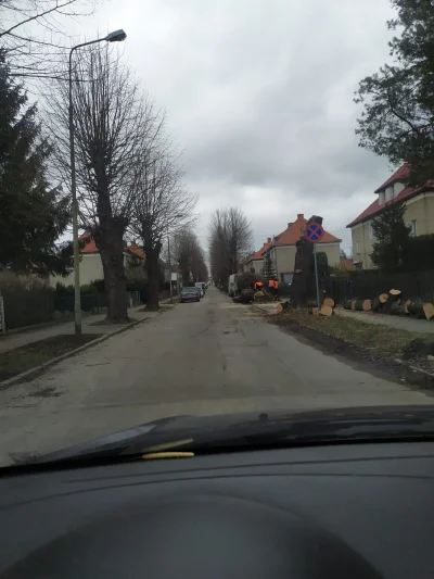 Anck-Su-Namun - Znowu wycinają drzewa w moim mieście, no #!$%@? mać nie wytrzymie!!! ...