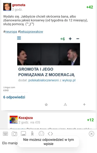 shoananas - Polityczny troll za putinowskie dziengi @gromota tak się zbulwersował, że...