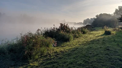 Neaopoliti - @EyesWideShut: aparat kozak, wgraj google camera, bo fabryczna apka jak ...