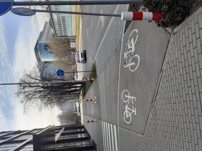 u8t3io3p - Dlaczego rowerzysci nie jezdza po sciezkach tylko po ulicy? #rower