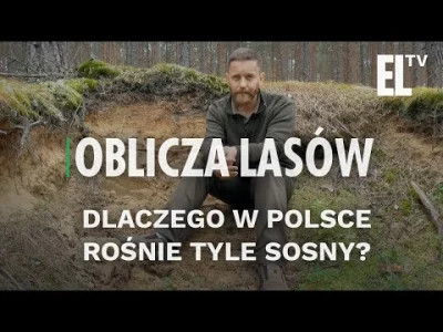 Erk700 - Film: ,,Dlaczego w Polsce rośnie tyle sosny?"