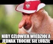 Brzydziol - #pilkanozna