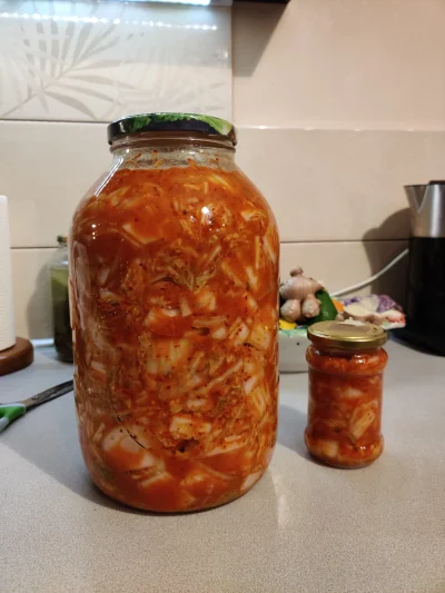 Dokkblar - Zrobione, teraz tylko chwilę poczekać (⌐ ͡■ ͜ʖ ͡■)
#kimchi #gotujzwykopem