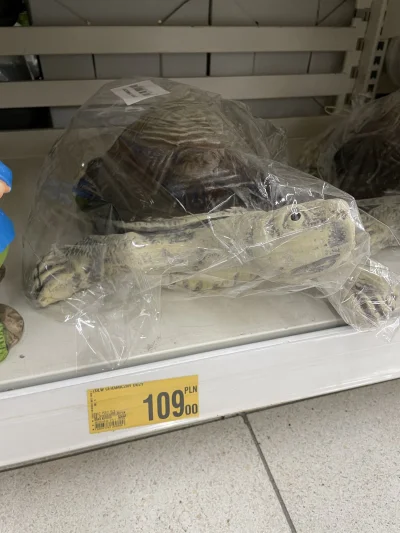 MG78 - Co za po&@#%^% akcja.

Robię zakupy w Auchan a tam na sprzedaż wysuszony żywy ...