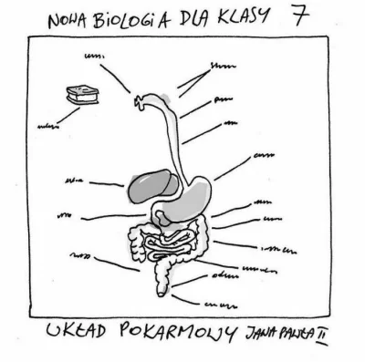 PotwornyKogut - papież nas ocali, tylko trzeba zadbać, żeby nastepne pokolenia się o ...