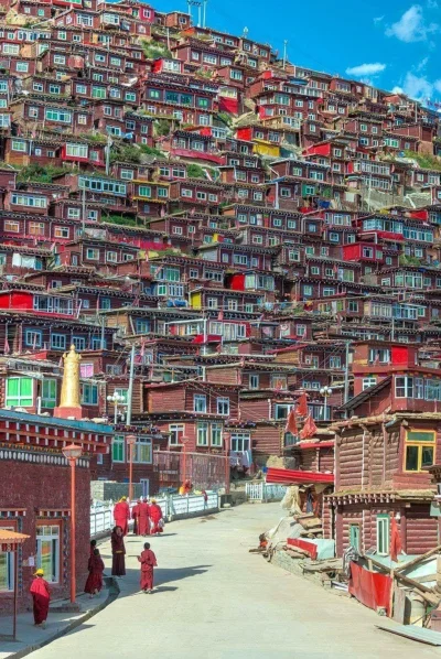 cheeseandonion - #tybet