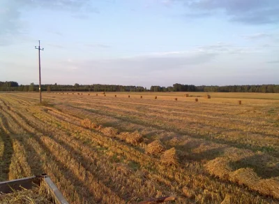 H.....a - @Agrarius: A może być foto już dawno po kombajnowaniu, podczas zbierania ko...