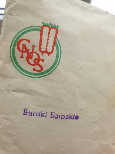 prankocsv - @prankocsv burak egipski 1982