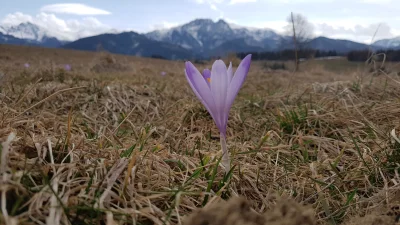 19michael86 - Pozdrowienia Mireczki z #tatry 

#gory