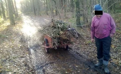 zimonmol - Kononowicz nazbierał już chrustu. Major odejdzie jak na rzymianina przysta...