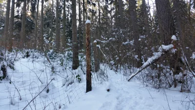 orkan - A w tym miejscu część szlaku została zagrodzona. Wygląda na to, że przeszkadz...