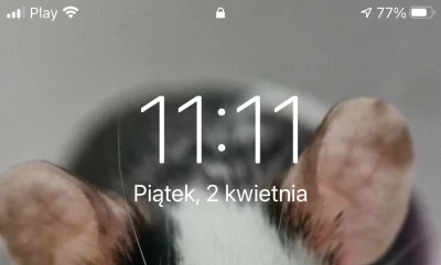 paczelok - 11:11 #1111 #paczeclock