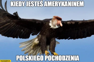 Trojden - @KlotzF23: Jedna hybryda drapieżnego ptaka z nosaczem to już klasyka. ;) Ty...