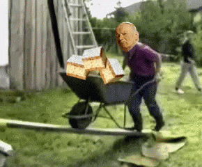 smakowityBorowik - #2137