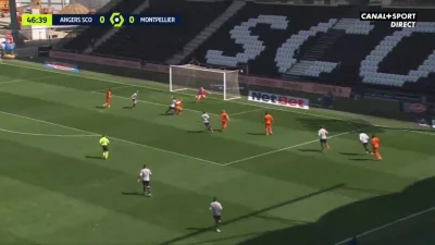 WHlTE - Angers 0:1 Montpellier - Stephy Mavididi 
#angers #Montpellier #Ligue1 #golg...