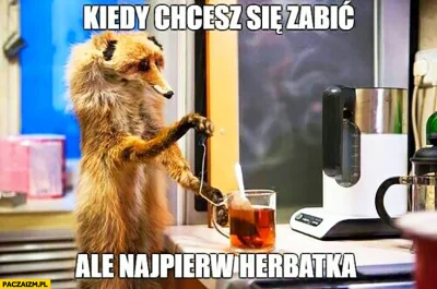 KhaDori - ciekawe czy się chociaż herbatki na koniec napił