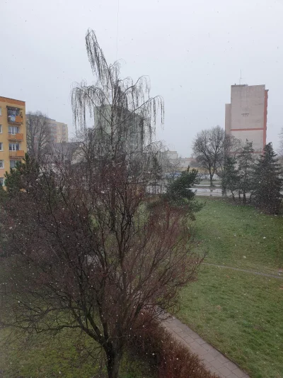 szymon362 - Burza ze śniegiem i piorunami xDDDD
#pogoda #klimat ##!$%@? #heheszki