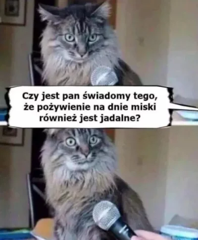 xandra - Za każdym razem (・へ・)

#heheszki #humorobrazkowy #koty #kitku