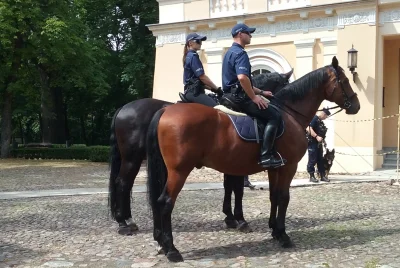 E.....0 - Fotka z Tomaszowa. Policja konna.

#tomaszowmazowiecki #łódzkie #polska #...