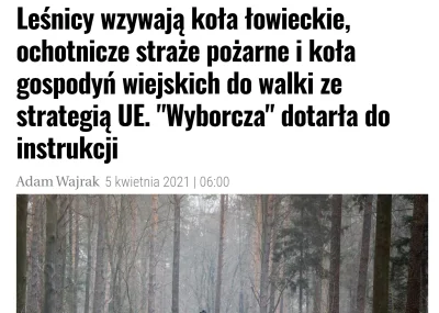 jaroty - Jak to szło? Komorowski i Tusk chcieli sprzedać lasy, gdyby to zrobili to la...